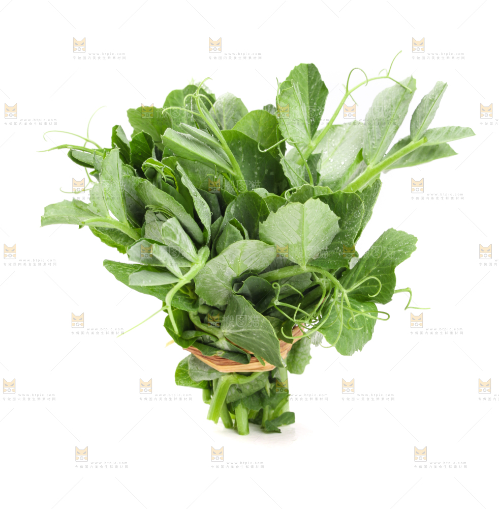 白底上摆放着新鲜豌豆苗