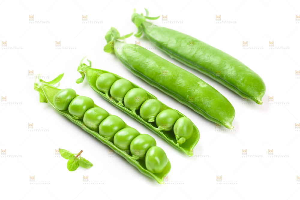 剥开的新鲜豌豆放在白底上