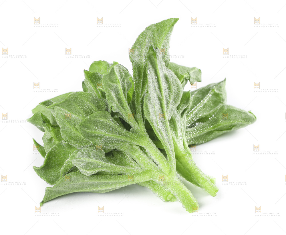 白底上的冰草