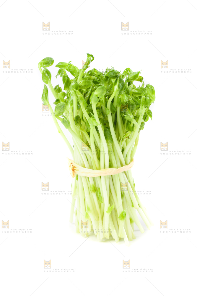 白底上放着豌豆芽菜
