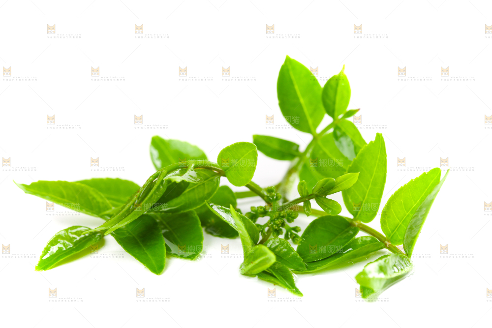 白底上放着花椒芽