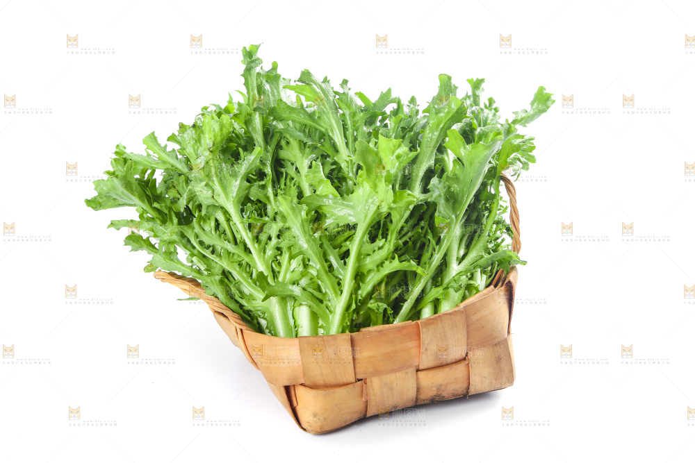 篮子里装着苦菊