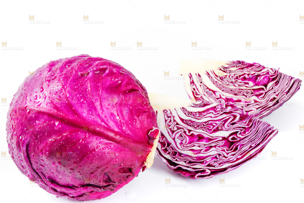 白底上的羽衣甘蓝