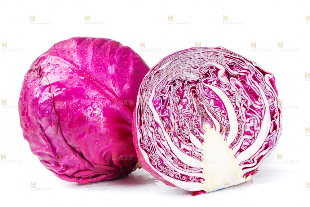 白底上的紫甘蓝
