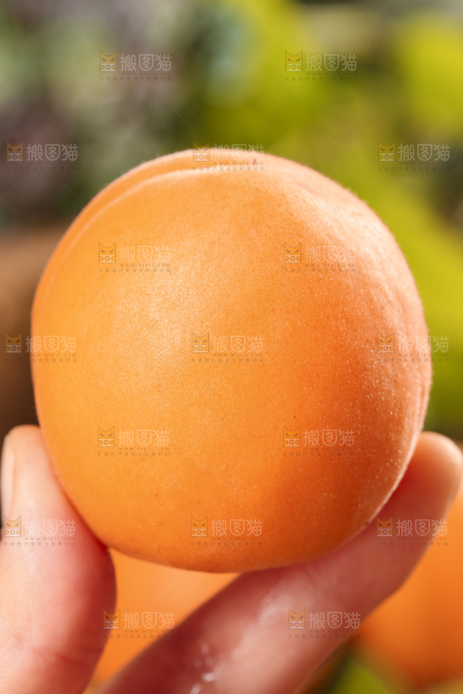 手里拿着凯特杏