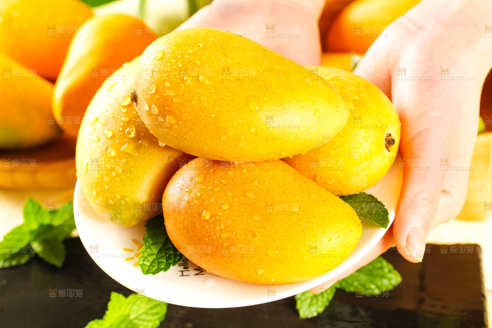 手里拿着小台芒