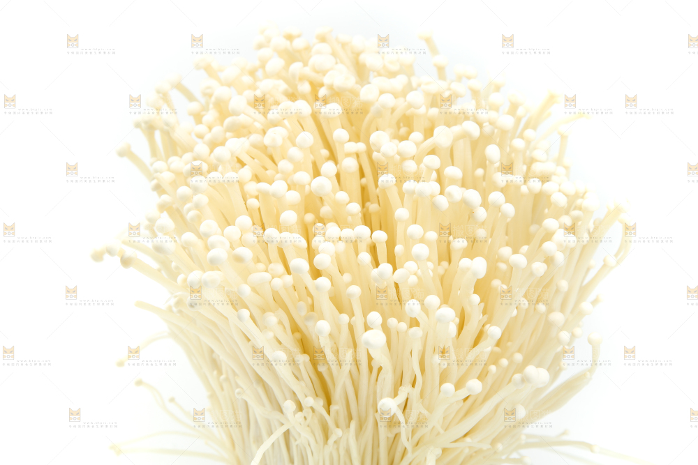白底上的金针菇