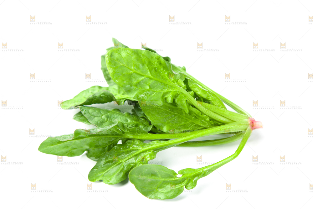 白底上放着新鲜菠菜