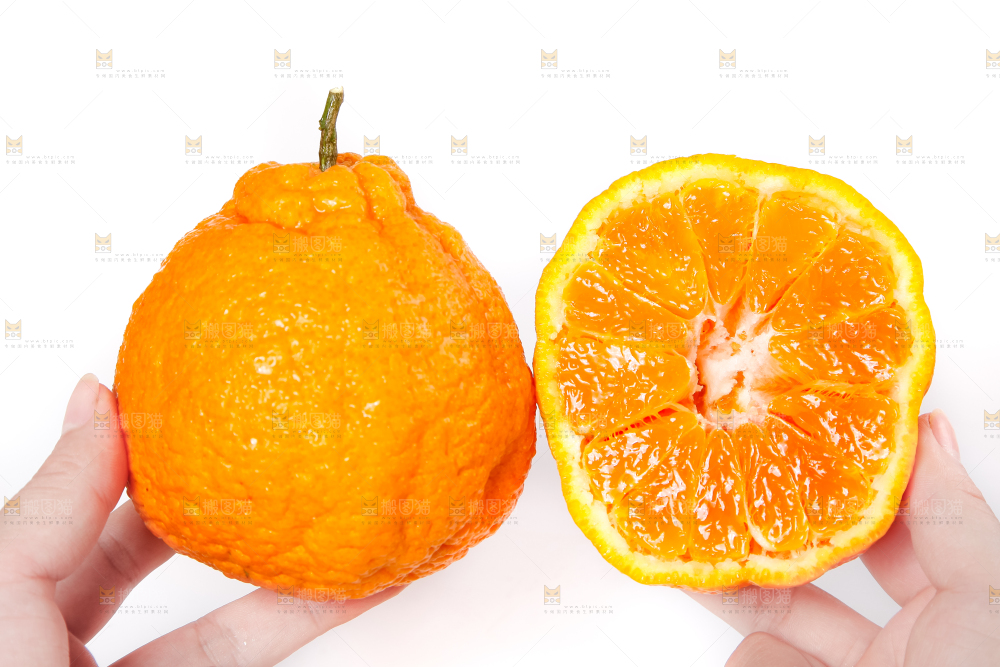 手里拿着不知火柑橘