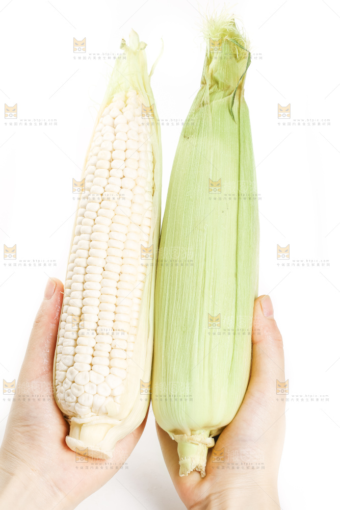 手里拿着白玉米