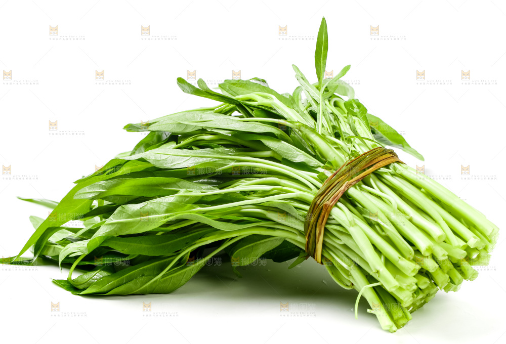 白底上放着新鲜空心菜