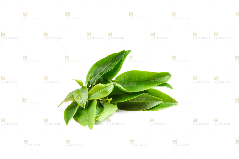 白底上的茶叶