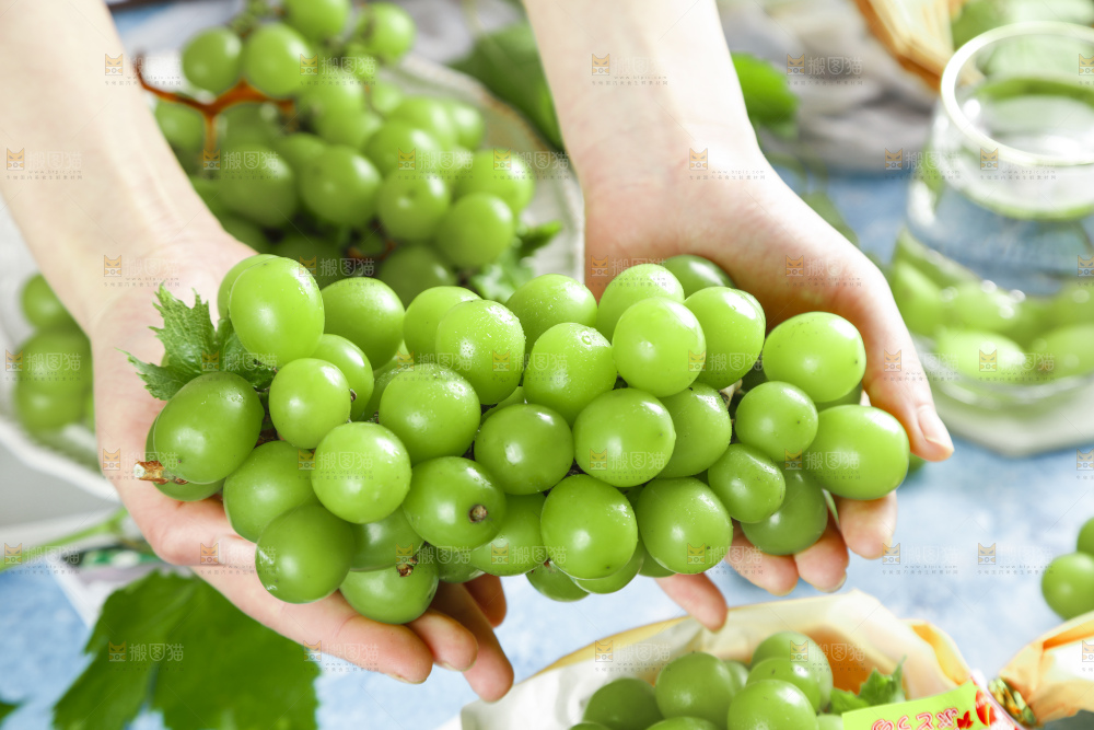 手里拿着香印青提