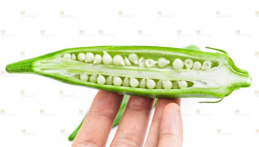白底上的新鲜秋葵