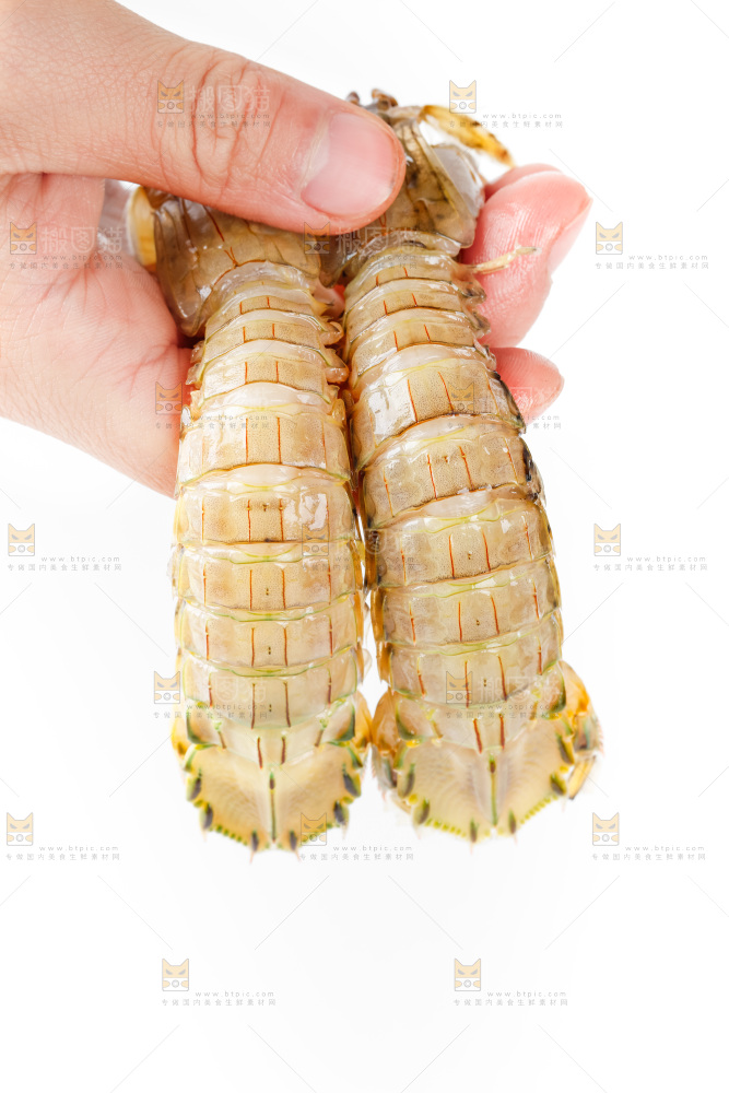 手里拿着生鲜皮皮虾