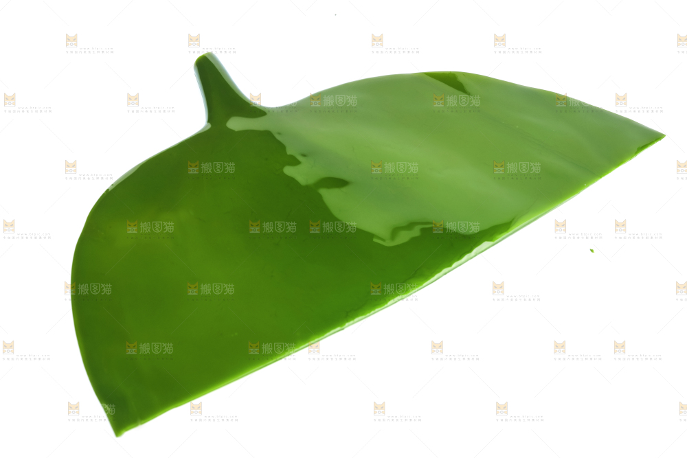 白底上摆放着海带头