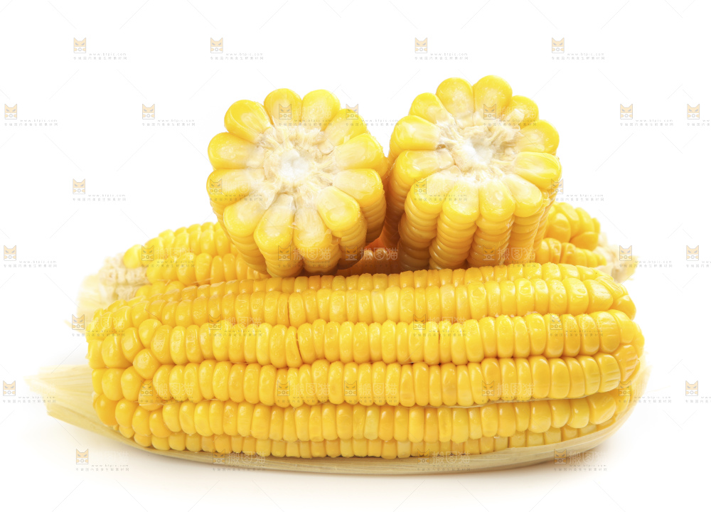 白底上的玉米棒
