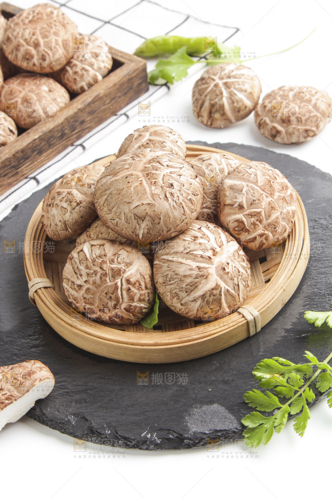 石板上的冬花菇