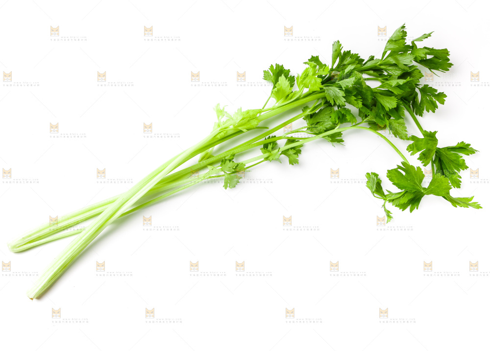 白底上摆放着芹菜