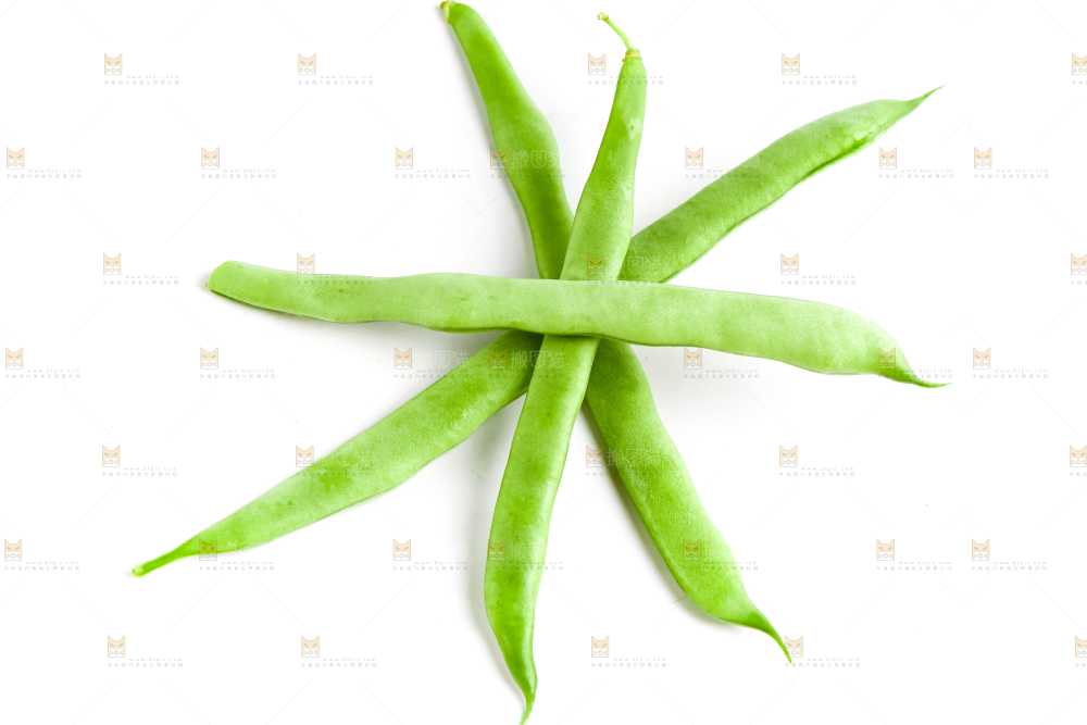 白底上的四季豆