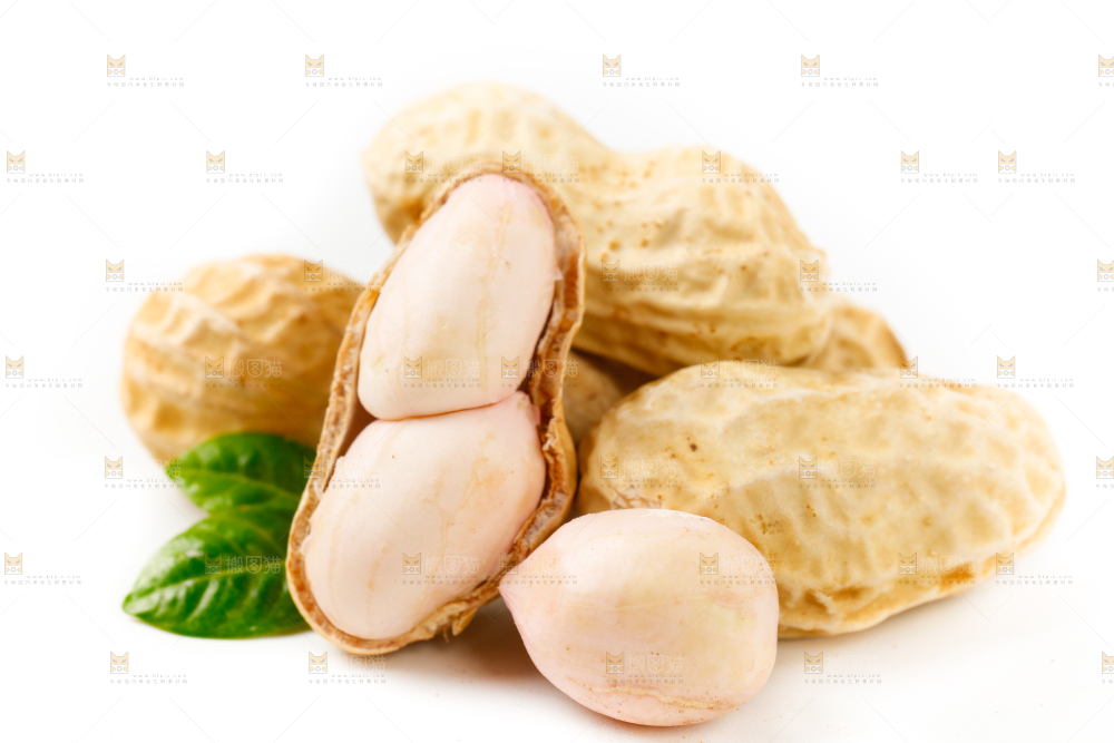白底上的湿花生和花生米