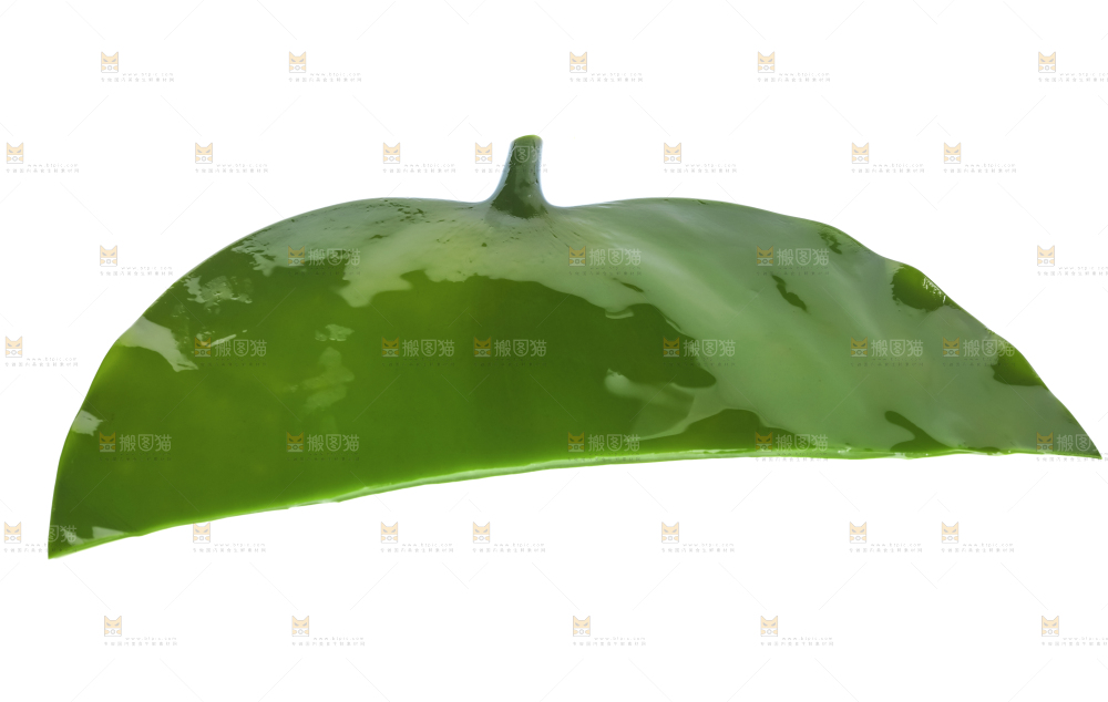 白底上摆放着海带头