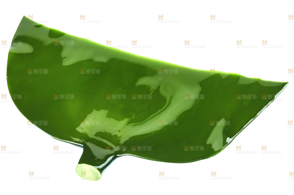 白底上摆放着海带头