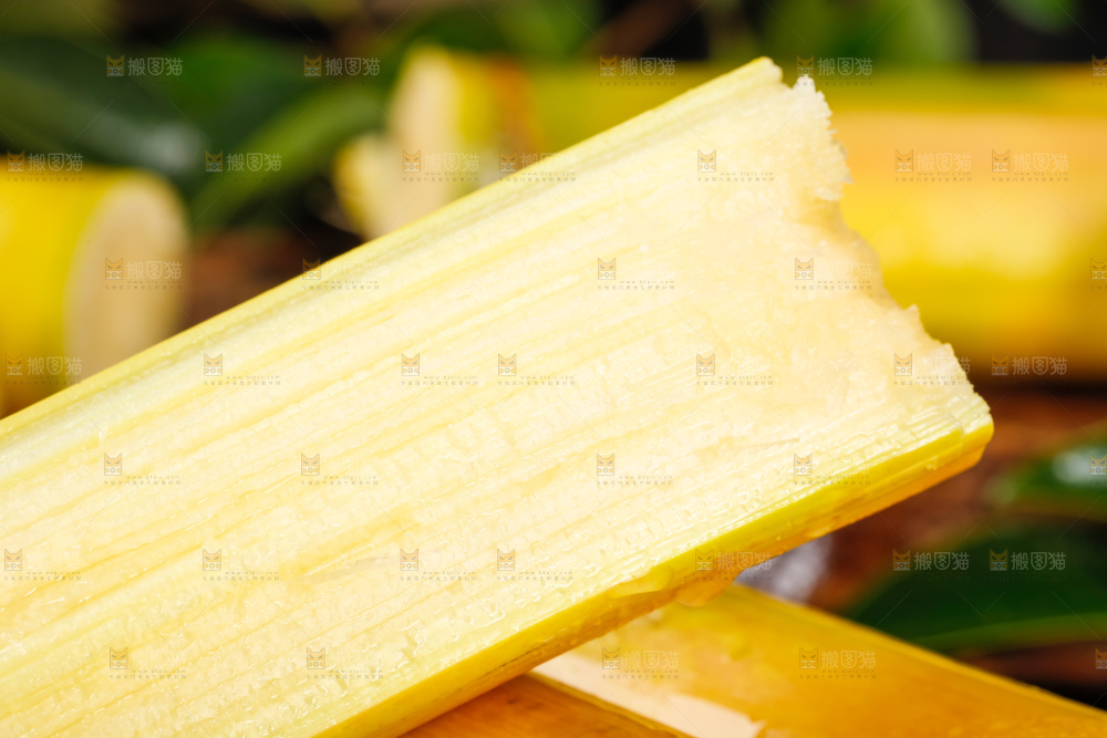 深底上的广西白玉甘蔗