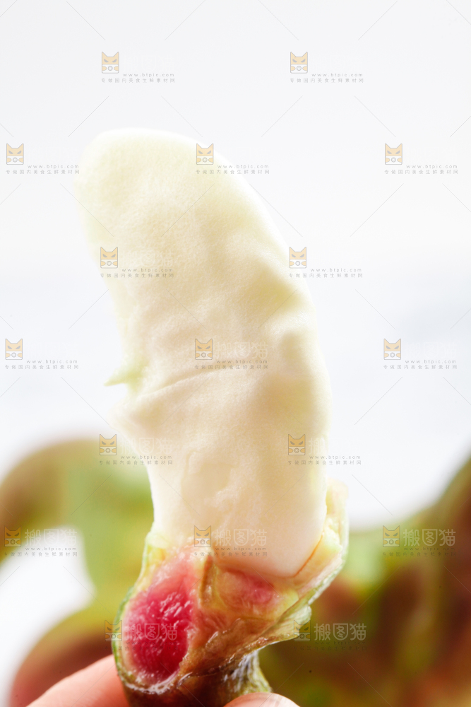 白底上的菱角