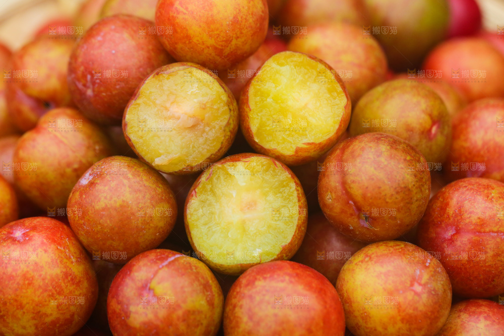 三月李纹理