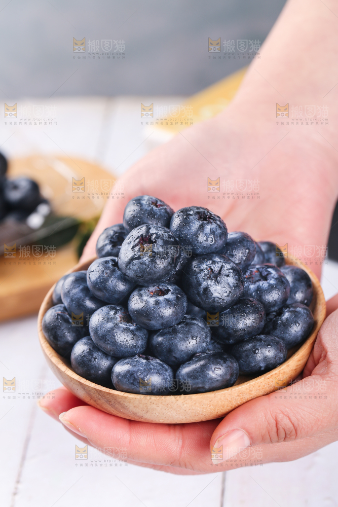 手里端着一盘云南蓝莓