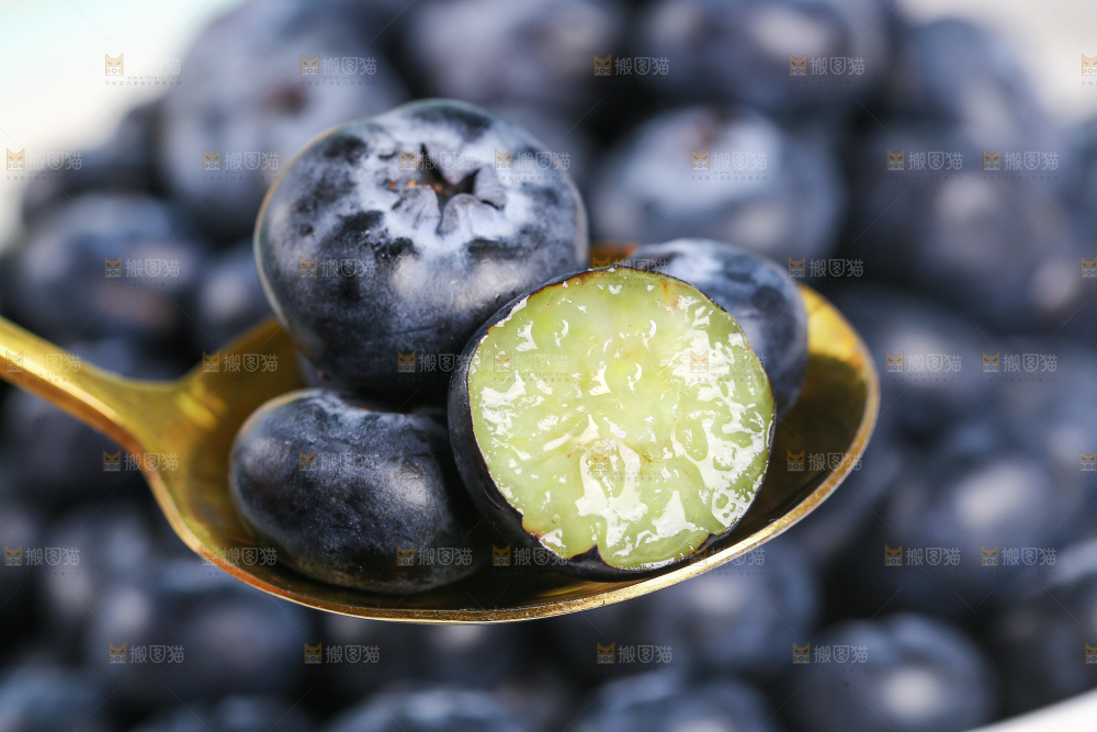 勺子上舀着云南蓝莓