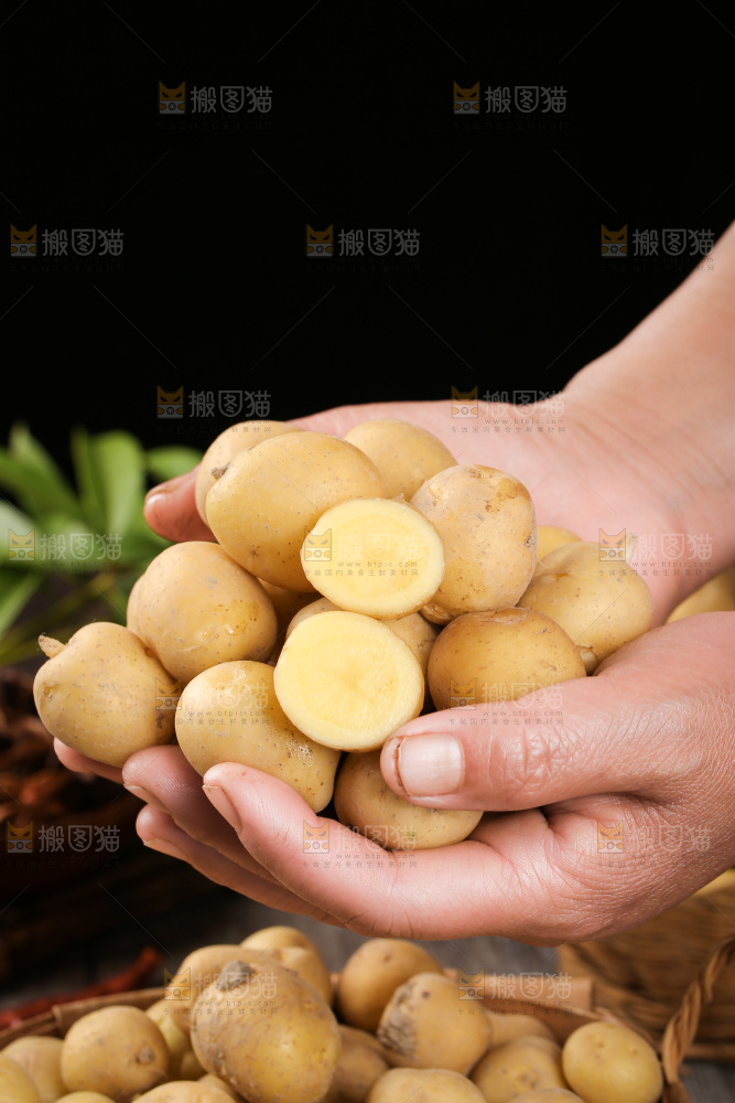 手里捧着恩施小土豆