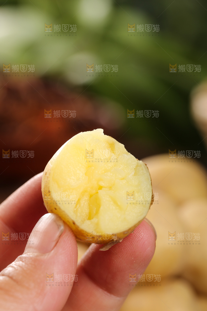 手里拿着小土豆