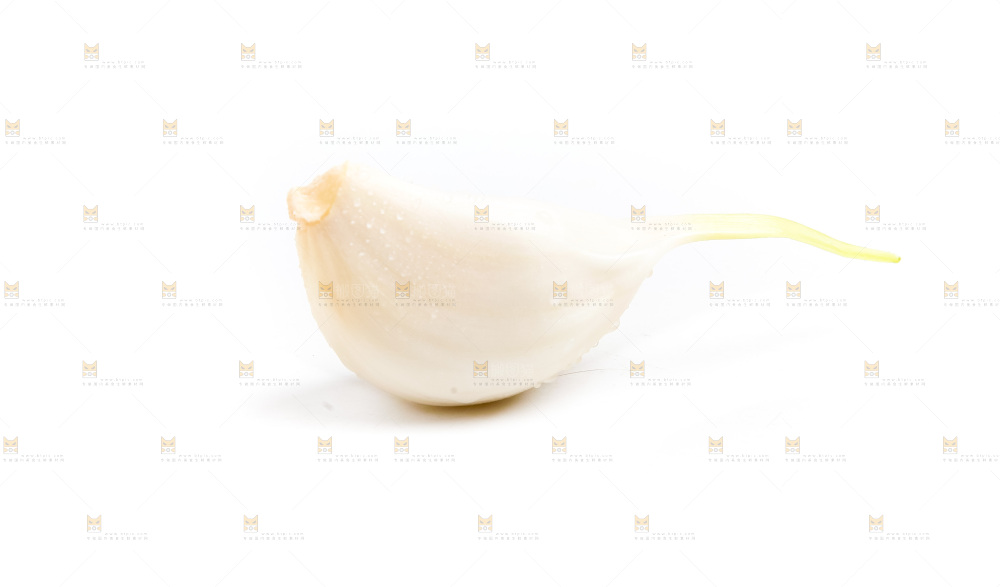 紫皮大蒜放在白底上