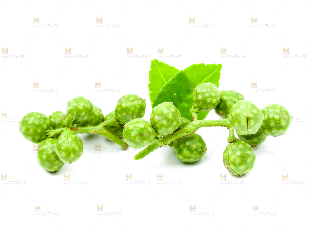 白底上的青花椒