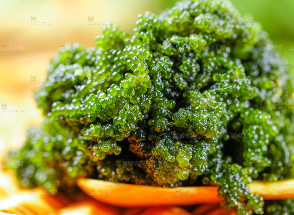 碗里装着长寿菜