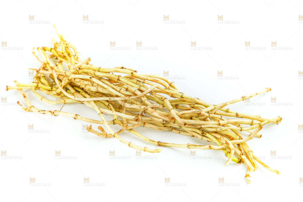 白底上的鱼腥草