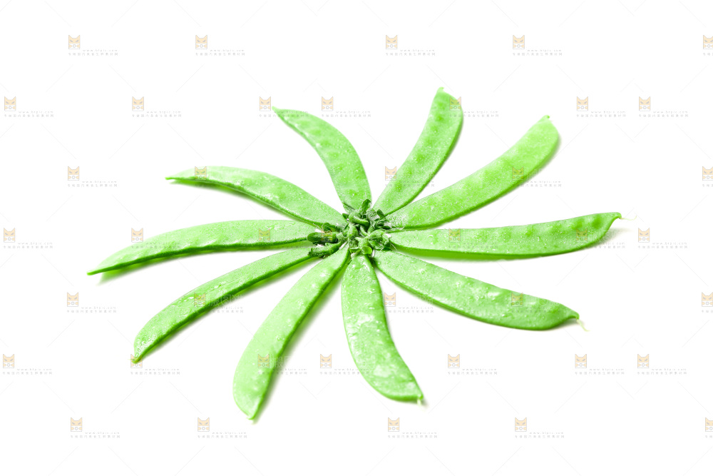 浅底上的荷兰豆