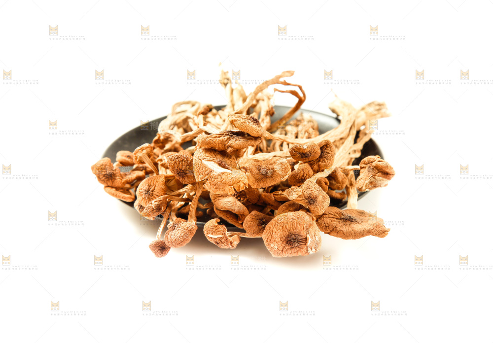 白底上的茶树菇