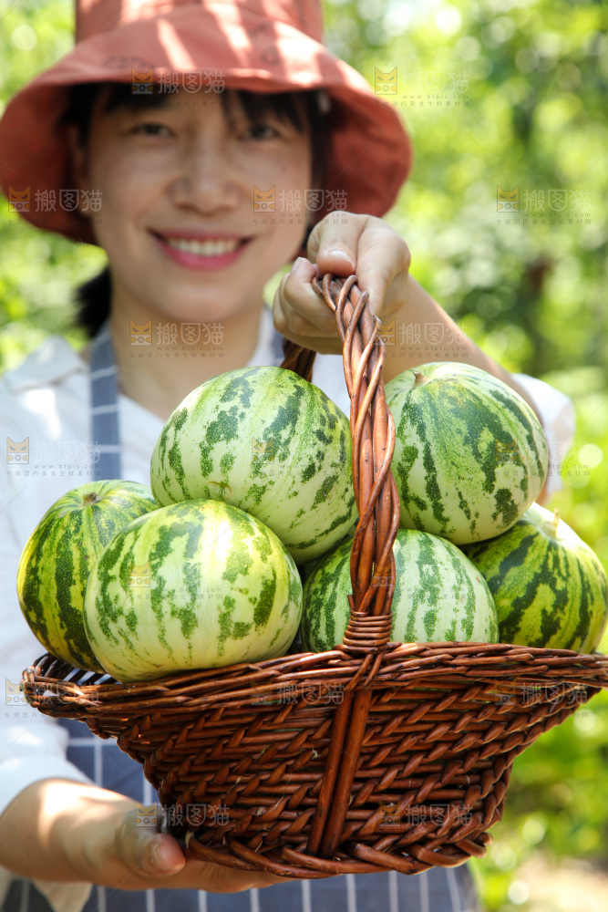 手里提着一篮花蕾香瓜