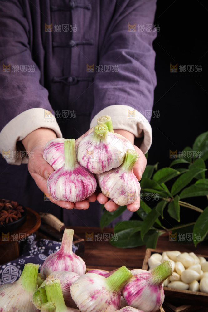 手里捧着紫皮鲜蒜