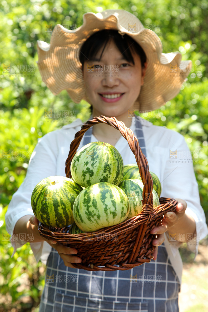 手里端着一篮八里香瓜