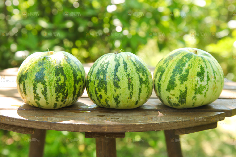 桌子上放着花蕾香瓜
