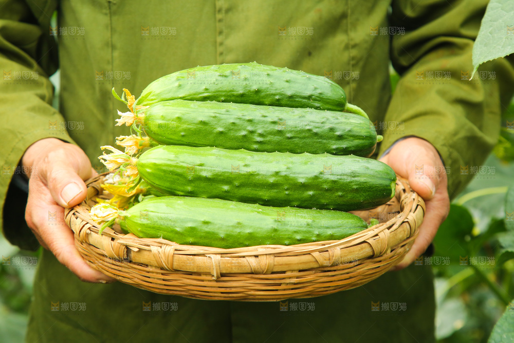 手里端着一篮水果黄瓜