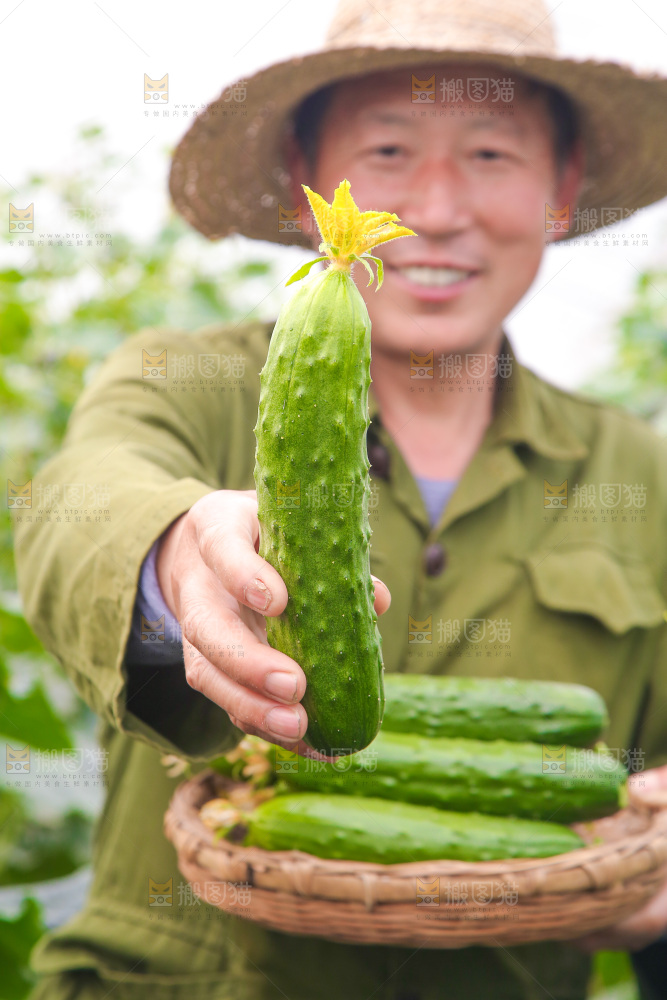 手里拿着水果黄瓜