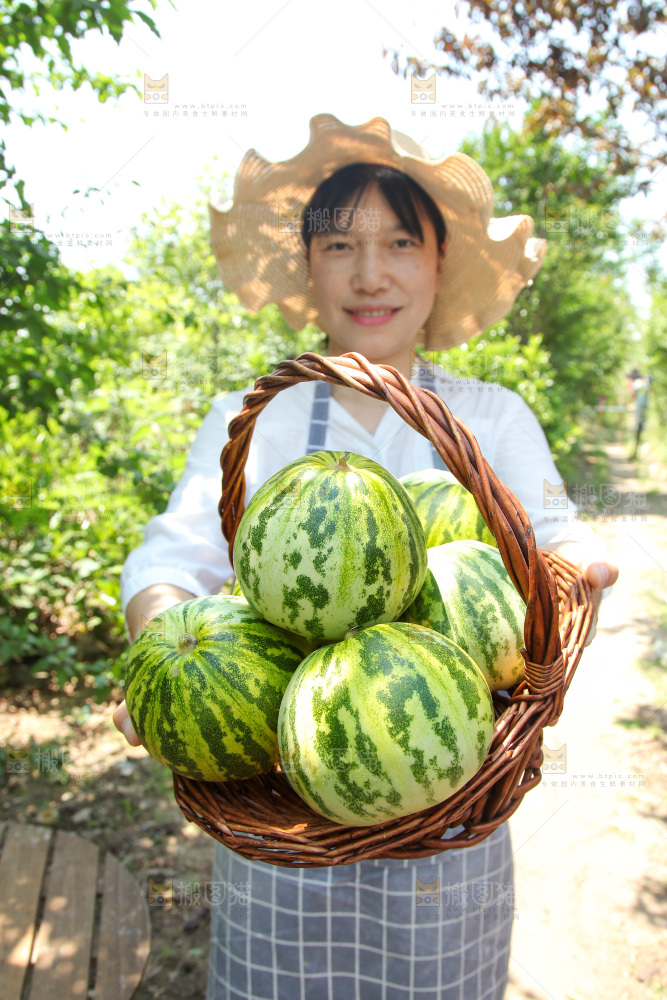 手里端着一篮八里香瓜