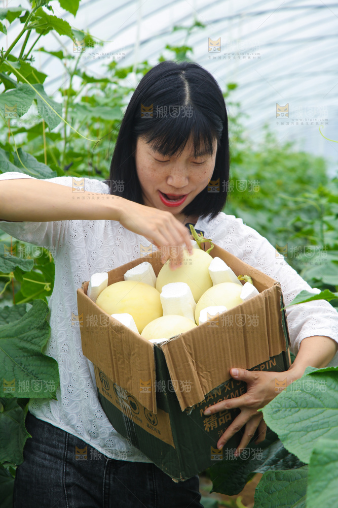 一箱阎良甜瓜