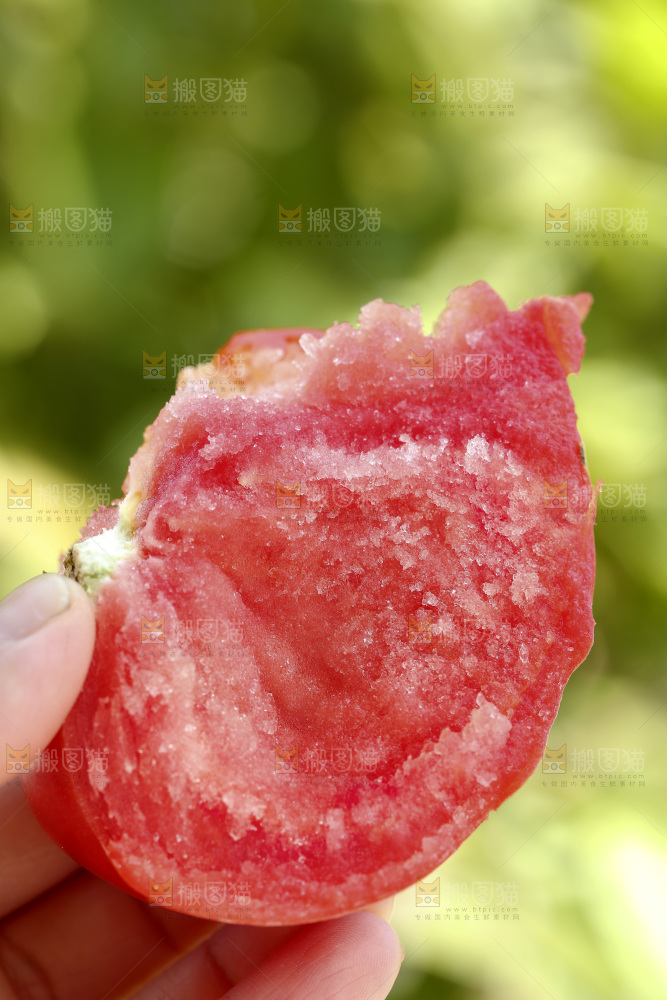 手里拿着沙瓤西红柿