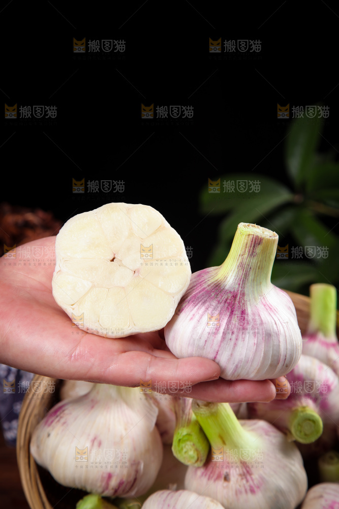 手里拿着大蒜